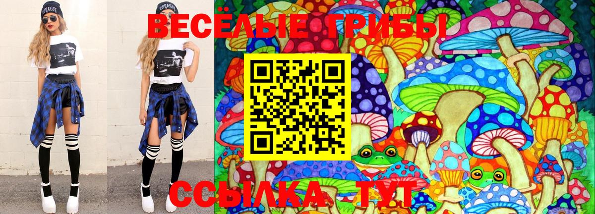 Галлюциногенные грибы Cubensis  продажа наркотиков  Вход с VPN  Сергиев Посад  Галлюциногенные грибы MAGIC MUSHROOMS 