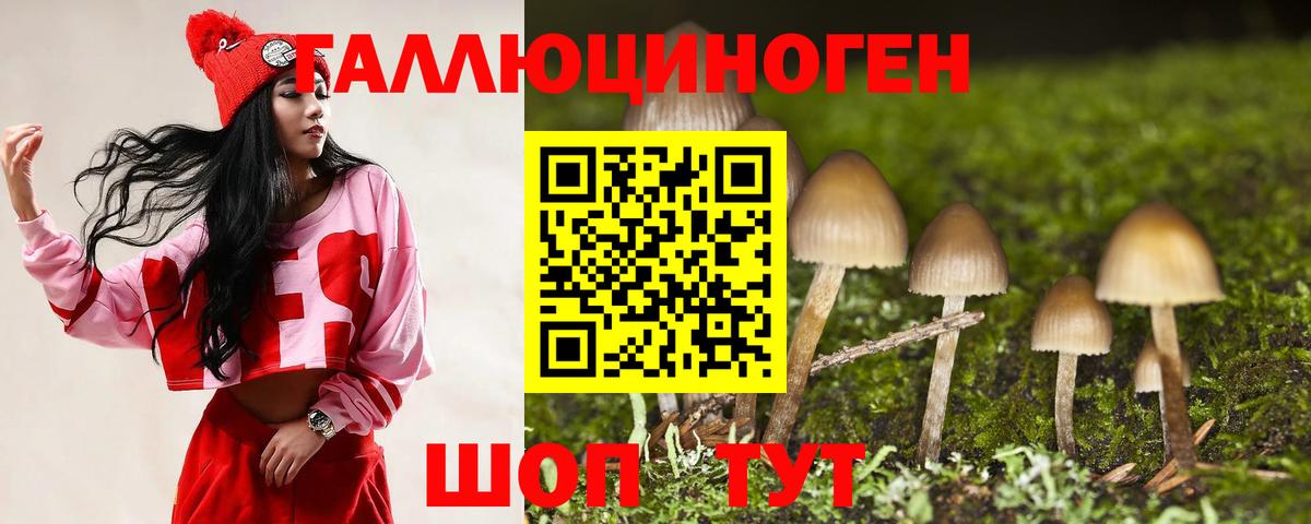 Галлюциногенные грибы Psilocybe Сергиев Посад